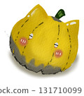pumpkin, halloween, vegetable 131710099
