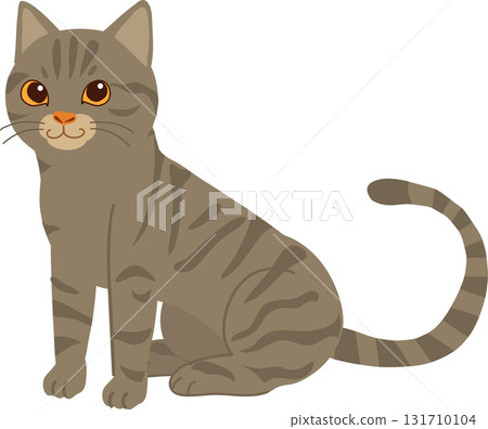 gray tabby cat illustration showing a friendly american shorthair sitting calmly indoors perfect for pet themed design 131710104