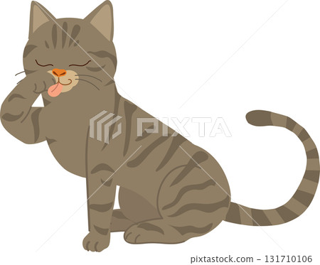 a cute brown tabby cat sits calmly licking its paw during grooming 131710106