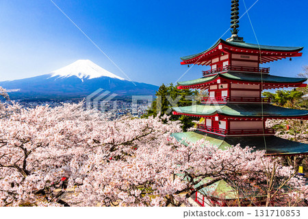 [山梨縣_富士吉田市] 春天從新倉山淺間公園看到的富士山（4月） 131710853