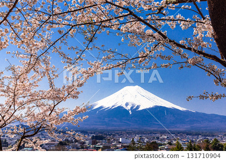 [山梨縣_富士吉田市] 春天從新倉山淺間公園看到的富士山（4月） 131710904