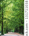 Damyang Metasequoia Road 131711038