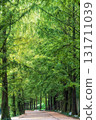 Damyang Metasequoia Road 131711039