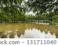 Damyang Metasequoia Road 131711040
