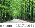 Damyang Metasequoia Road 131711041