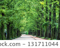 Damyang Metasequoia Road 131711044