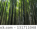 Juknokwon Bamboo Garden 131711048