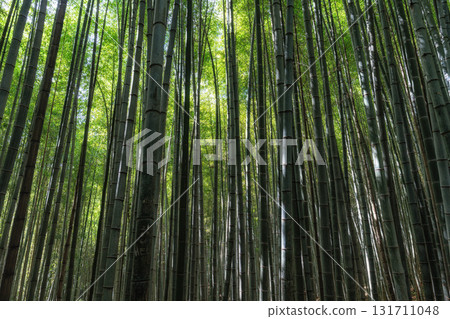 Juknokwon Bamboo Garden Juknokwon Bamboo Garden 131711048