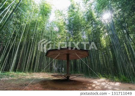 Juknokwon Bamboo Garden Juknokwon Bamboo Garden 131711049
