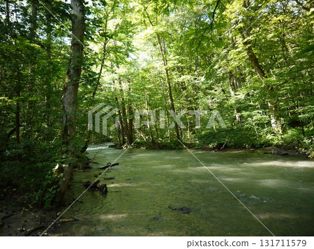 The landscape of the Oirase Stream 131711579