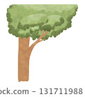 Watercolor Green Tree Illustration, Hand Drawn Nature Element 131711988