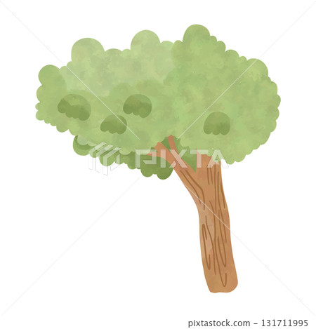 Watercolor Green Tree Illustration, Hand Drawn Nature Element 131711995