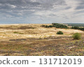 Curonian Spit National Park. Zelenogradsk, Kaliningrad Oblast, Russia. 131712019