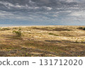 Curonian Spit National Park. Zelenogradsk, Kaliningrad Oblast, Russia. 131712020