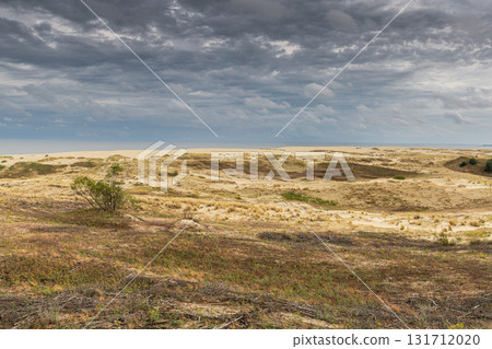 Curonian Spit National Park. Zelenogradsk, Kaliningrad Oblast, Russia. 131712020