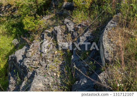 Rock formations showcasing natural patterns and vegetation in a lush environment during daylight hours 131712107
