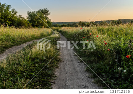 Serene countryside path winding through vibrant wildflowers during sunset capturing nature's beauty and tranquility in the evening light Serene countryside path winding through vibrant wildflowers during sunset capturing nature's beauty and tranquility in the evening light 131712136