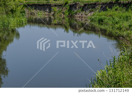 Serene riverbank reflects lush greenery and clear sky during midday in a tranquil natural setting 131712149