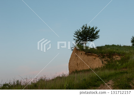Lone tree stands atop a sandy cliff under a clear blue sky during the early evening hours in a serene natural setting Lone tree stands atop a sandy cliff under a clear blue sky during the early evening hours in a serene natural setting 131712157