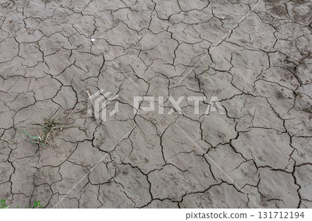 Dry and cracked earth with sparse vegetation indicating drought conditions in an arid landscape during the daytime Dry and cracked earth with sparse vegetation indicating drought conditions in an arid landscape during the daytime 131712194