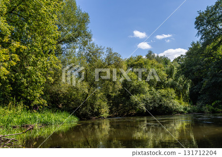 Serene river surrounded by lush green trees and clear blue sky in a peaceful natural setting during midday Serene river surrounded by lush green trees and clear blue sky in a peaceful natural setting during midday 131712204