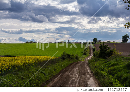 Scenic dirt road winding through vibrant green fields under a cloudy sky during late afternoon 131712257