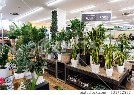 東京都調布市若場町島忠住宅仙川店賞葉植物區 東京都調布市若場町島忠住宅仙川店賞葉植物區 131712532