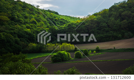 Lush green landscape with rolling hills and a patch of cultivated land during early morning light 131712600