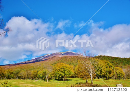 Autumn leaves at Sasaga Mine Ranch in Myoko Kogen, Myoko City, Niigata Prefecture 131712890