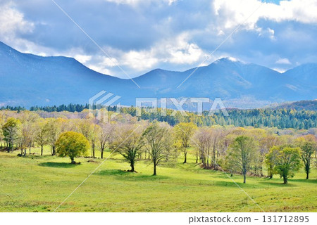 Autumn leaves at Sasaga Mine Ranch in Myoko Kogen, Myoko City, Niigata Prefecture 131712895