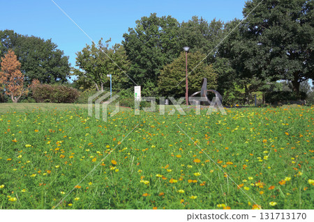 Kiso Sansen Park, Marigolds 131713170