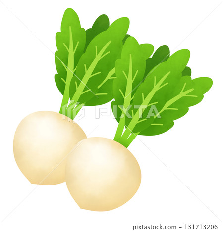 兩個蘿蔔的插圖 131713206
