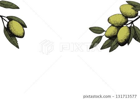 Botanic background with olive branch sketch. Ink hand drawn olives set. Botanic plant vector illustration. A sprig of an olive tree with leaves. Food concept. Wallpaper with greenery olive tree Botanic background with olive branch sketch. Ink hand drawn olives set. Botanic plant vector illustration. A sprig of an olive tree with leaves. Food concept. Wallpaper with greenery olive tree 131713577