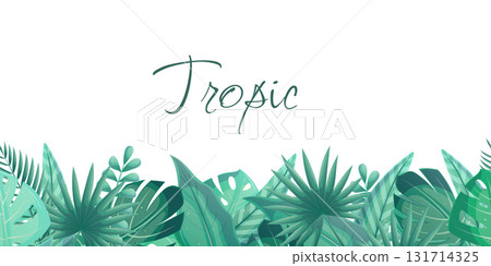 Horizontal seamless banner with tropical leaves on a white background. Palm leaves, bananas, monstera, tamarind, calathea. Vector illustrations for posters, banners, flyers and covers 131714325