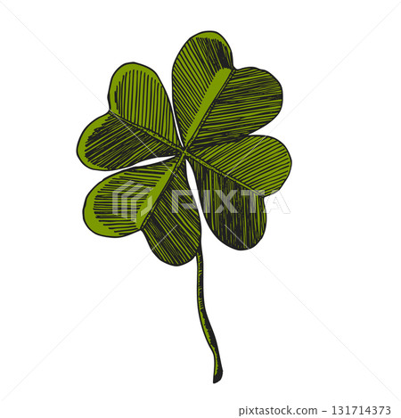 Clover leaves sketch. Decorative sceleton leaf icons. Vector hand drawn illustration. Minimal line art style. St Patrick's day elements 131714373