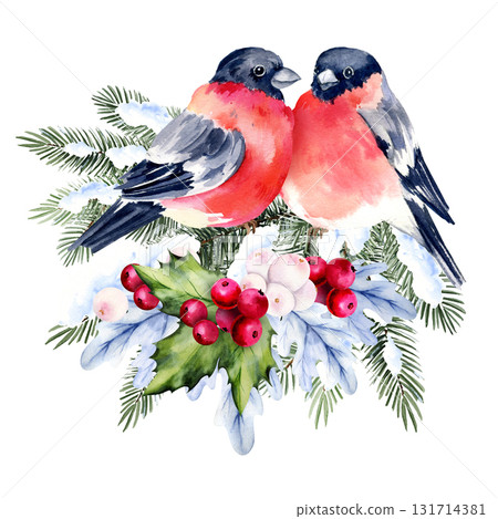 watercolor Christmas tree in the snow, holly branches, red berries, two bullfinches birds, hand drawn sketch of green fir branches with seasons flying animals, winter illustration for Christmas card watercolor Christmas tree in the snow, holly branches, red berries, two bullfinches birds, hand drawn sketch of green fir branches with seasons flying animals, winter illustration for Christmas card 131714381