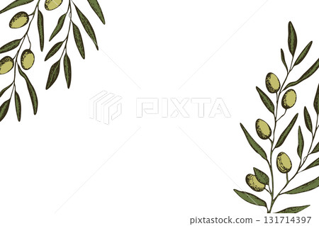 Botanic background with olive branch sketch. Ink hand drawn olives set. Botanic plant vector illustration. A sprig of an olive tree with leaves. Food concept. Wallpaper with greenery olive tree 131714397