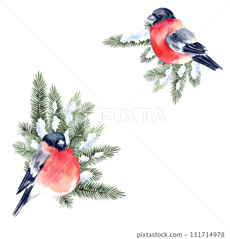watercolor Christmas tree in the snow, red berries, two bullfinches birds, frame, template with event symbol, hand drawn sketch of green fir branches, composition, winter illustration for Christmas watercolor Christmas tree in the snow, red berries, two bullfinches birds, frame, template with event symbol, hand drawn sketch of green fir branches, composition, winter illustration for Christmas 131714978