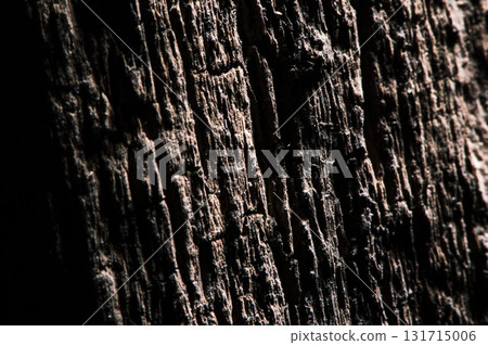 The wood texture in dark shades looks deep and rich The wood texture in dark shades looks deep and rich 131715006