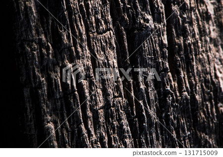 The photo shows the texture of the wood with distinct rings and dark veins The photo shows the texture of the wood with distinct rings and dark veins 131715009