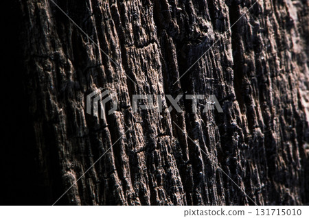 The photo shows the texture of the wood with distinct rings and dark veins 131715010