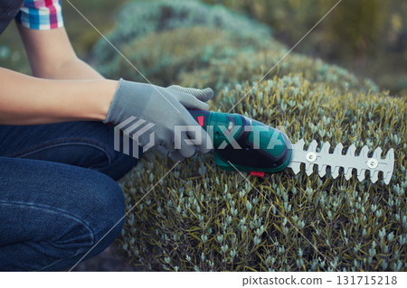 gardener trimming bush with electric shears in garden 131715218