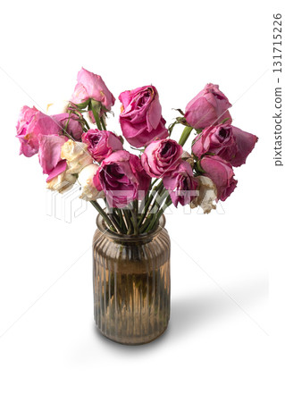 wilted bouquet of roses in a vase isolated wilted bouquet of roses in a vase isolated 131715226