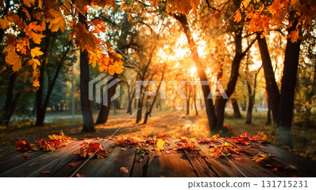 beautiful Autumn Landscape - Trees And Orange Foliage In Park At Sunset beautiful Autumn Landscape - Trees And Orange Foliage In Park At Sunset 131715231