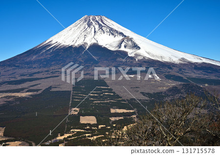 從阿席達卡山脈的越前山眺望白雪皚皚的富士山和寶永火山口 從阿席達卡山脈的越前山眺望白雪皚皚的富士山和寶永火山口 131715578