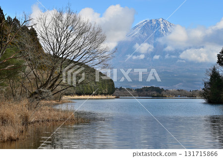 從靜岡縣富士宮市田貫湖眺望的冬季富士山 131715866
