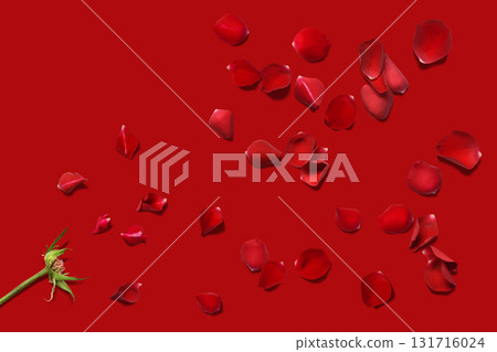 散落著紅玫瑰花瓣的花卉背景 散落著紅玫瑰花瓣的花卉背景 131716024