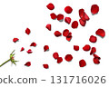 A floral background with scattered red rose petals 131716026