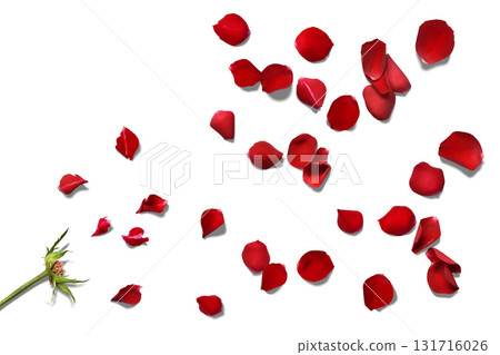 散落著紅玫瑰花瓣的花卉背景 131716026