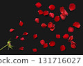 A floral background with scattered red rose petals 131716027
